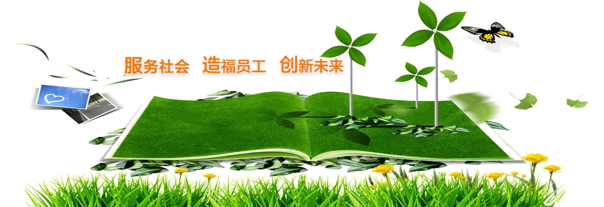 新型高聚物生態(tài)護(hù)坡技術(shù)