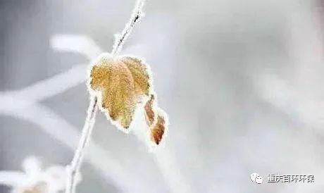 熬過疫情寒冬，迎來發(fā)展