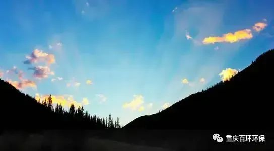 熬過疫情寒冬，迎來發(fā)展